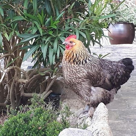 مبيت وإفطار Poilley  Les Sources المظهر الخارجي الصورة