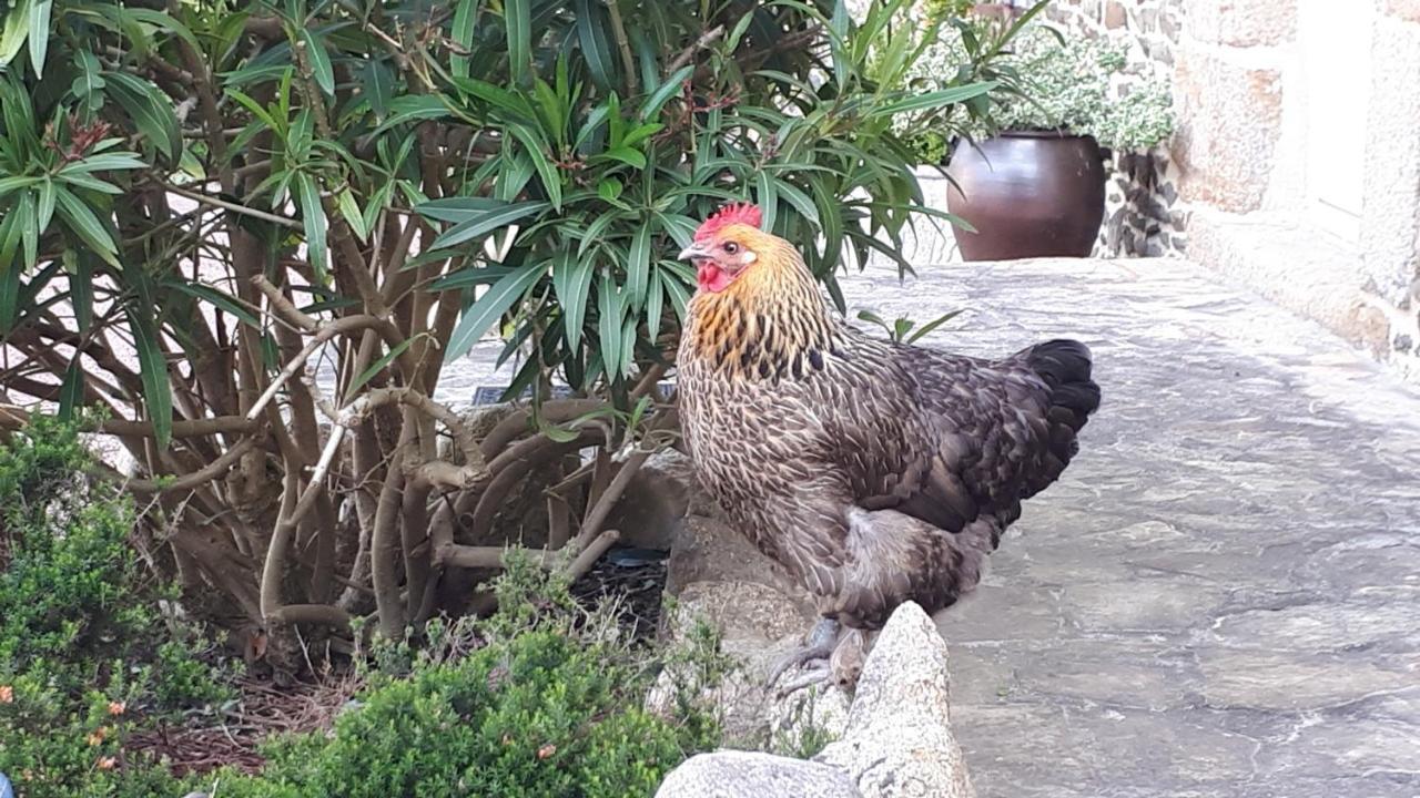 مبيت وإفطار Poilley  Les Sources المظهر الخارجي الصورة